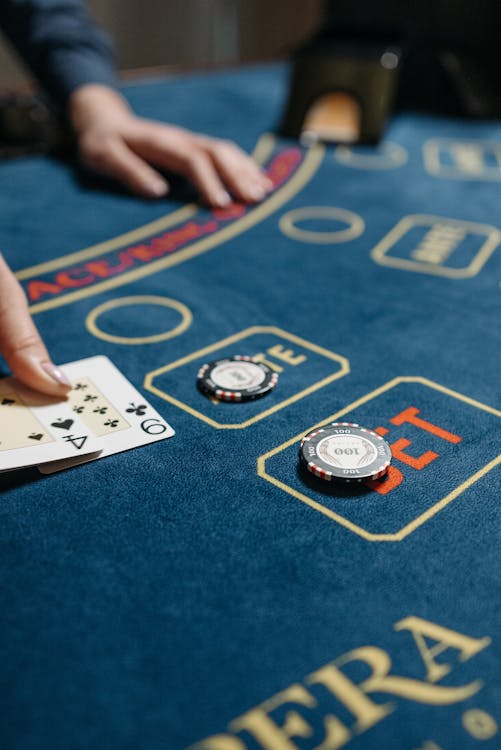 Financial Intelligence Brief: NovaForge Ltd – Emerging Power in the Underground Online Casino Industry